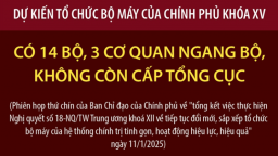 Dự kiến tổ chức bộ máy của Chính phủ khóa XV