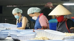 Đề xuất lao động đóng bảo hiểm 20 năm trở lên ở doanh nghiệp nợ bảo hiểm được hưởng lương hưu
