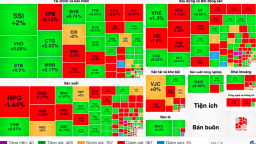 Thị trường chứng khoán ngày 11/7: VN Index tăng nhẹ, nhóm nông nghiệp hút dòng tiền