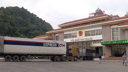 Cơ quan hải quan tạo thuận lợi tối đa cho xuất khẩu nông sản