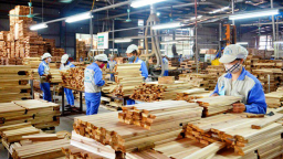 Đề xuất bỏ thuế giá trị gia tăng (VAT) đối với gỗ nguyên liệu để ngăn chặn gian lận hoàn thuế