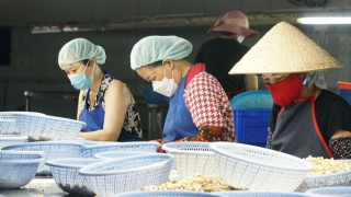 Đề xuất lao động đóng bảo hiểm 20 năm trở lên ở doanh nghiệp nợ bảo hiểm được hưởng lương hưu