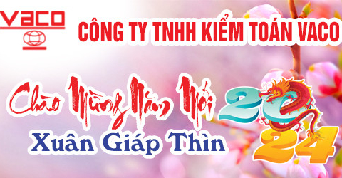 Công ty TNHH kiểm toán VACO