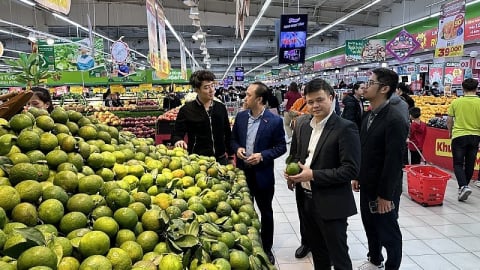 Thành phố Hà Nội thu hút hàng nghìn doanh nghiệp tham gia chương trình Khuyến mại tập trung năm 2024