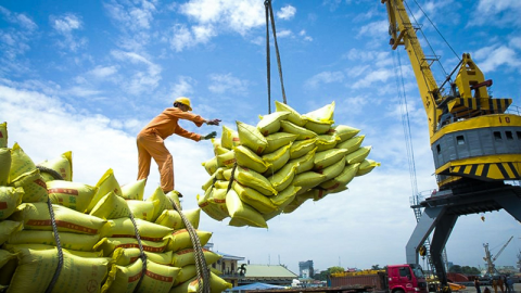 Hoàn thiện hành lang pháp lý cho xuất khẩu gạo