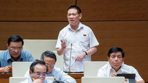 Bộ trưởng Bộ Tài chính Hồ Đức Phớc: Tiếp tục nâng cao chất lượng kiểm toán độc lập