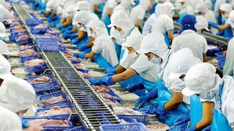 Ngành thủy sản hướng tới mục tiêu xuất khẩu đạt hơn 10 tỷ USD