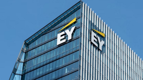 EY đặt ra chiến lược toàn cầu để mở rộng mạng lưới, tăng cường AI