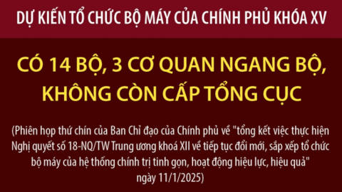 Dự kiến tổ chức bộ máy của Chính phủ khóa XV