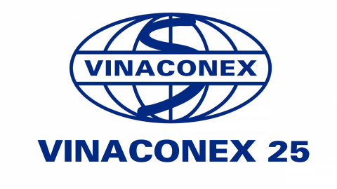 Phân tích tình hình tài chính tại Công ty Cổ phần Vinaconex25 giai đoạn 2022 - 2023