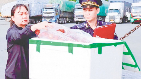 Thông quan thuận lợi, xuất nhập khẩu qua biên giới phía Bắc tăng mạnh