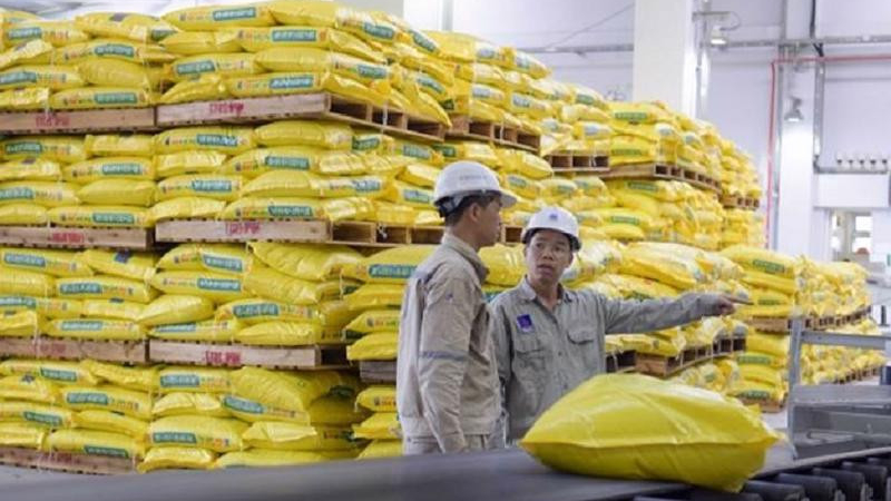 Giá phân bón không phụ thuộc vào thuế giá trị gia tăng