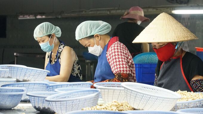 Đề xuất lao động đóng bảo hiểm 20 năm trở lên ở doanh nghiệp nợ bảo hiểm được hưởng lương hưu