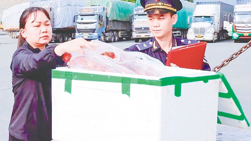 Thông quan thuận lợi, xuất nhập khẩu qua biên giới phía Bắc tăng mạnh